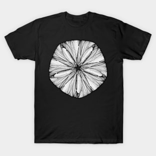 Abstract Shell T-Shirt